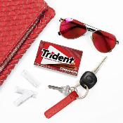 Trident Chewing-gum à la Cannelle