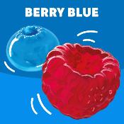 Jell-O Gélatine Saveur Berry Blue Framboise Myrtille