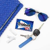 Trident Chewing-gum Menthe Poivrée
