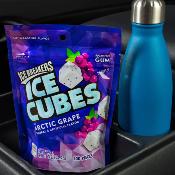 Ice Breakers Chewing-gum Raisin Arctique